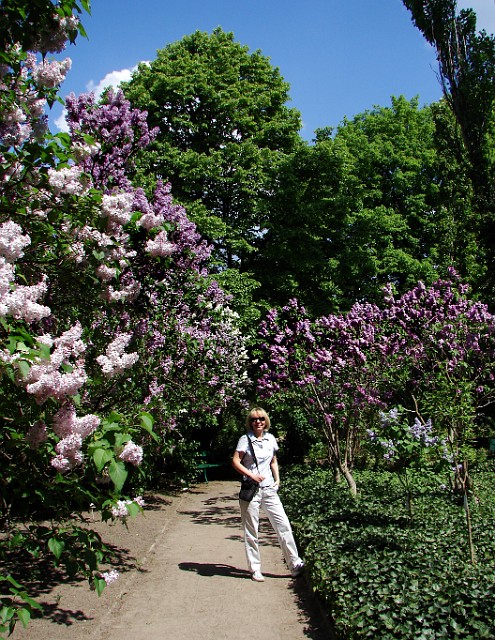 43 Ogród botaniczny w Poznaniu.jpg