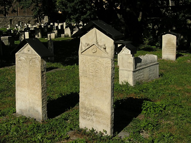 184 Stary Cmentarz Żydowski.jpg