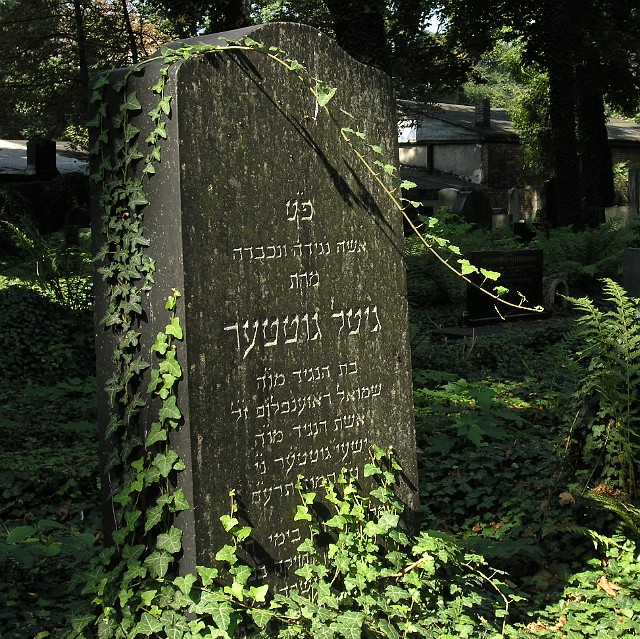 192 Nowy Cmentarz Żydowski.jpg
