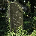 192 Nowy Cmentarz Żydowski