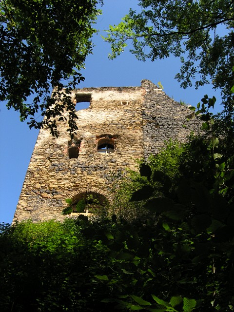 48 Ruina zamku Gryf.JPG