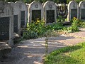 056 Na żydowskim cmentarzu