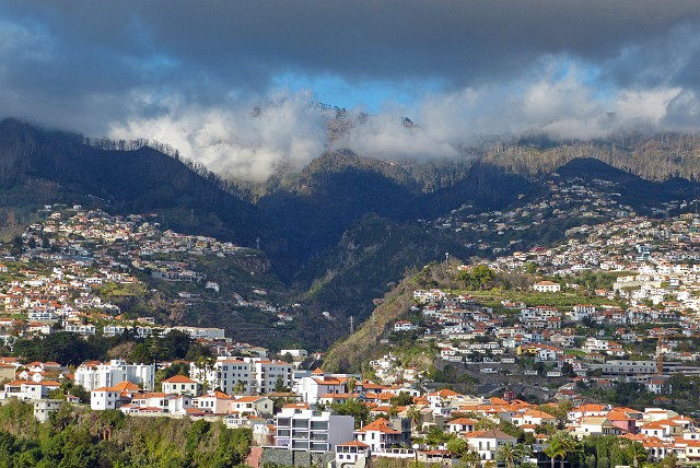 005 .jpg - 005 Funchal - stolica Madery- położony jest amfiteatralnie