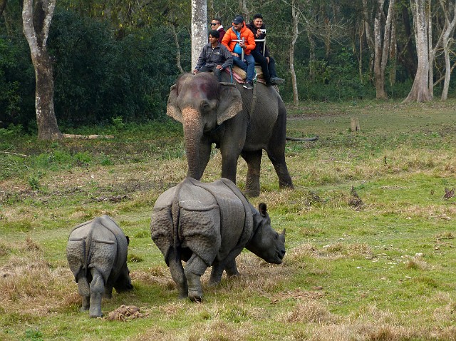 084.jpg - 084 Zwiedzanie Parku Narodowego na grzbiecie słonia.