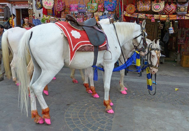 207.jpg - 207 Konie z różowymi kopytami szykuje się do orszaku weselnego.