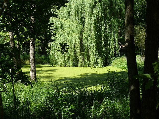 188 Arboretum w Kudypach.JPG