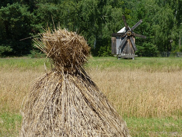 240 Skansen w Kolbuszowej.JPG