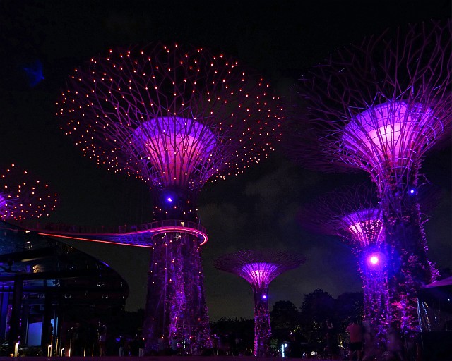 103.jpg - 103 Nad Zatoka Singapurską wyrosło 18 żelbetonowych konstrukcji w formie drzew, które są jednocześnie pionowymi ogrodami dla 200 tys. egzotycznych roślin z całego świata.