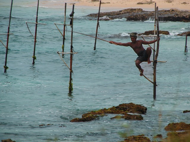 259.jpg - 259 Tradycyjny lankijski sposób łowienia ryb