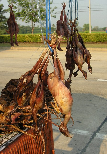 126.jpg - 126 W Tajlandii można zjeść szczury ryżowe lub polne ptaszki.