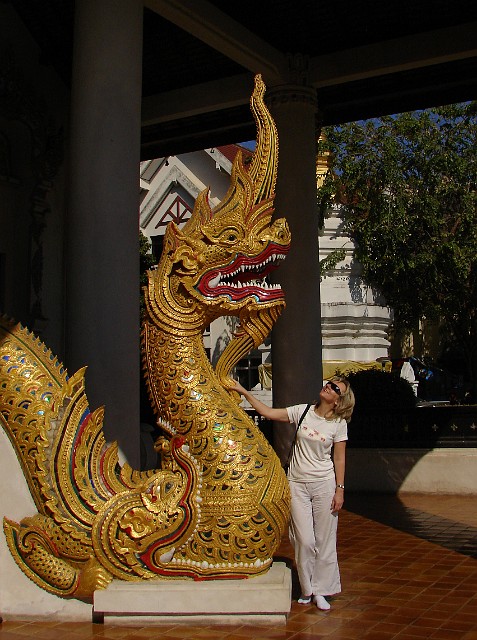 325.jpg - 325 Tajska sztuka obfituje w wyobrażenia mitycznych zwierząt. Naga jest wężem  podobnym do smoka i pełni rolę strażnika przed złymi duchami. Ich bogato zdobione ciała są zakończone głowami z rogami i kozimi bródkami.