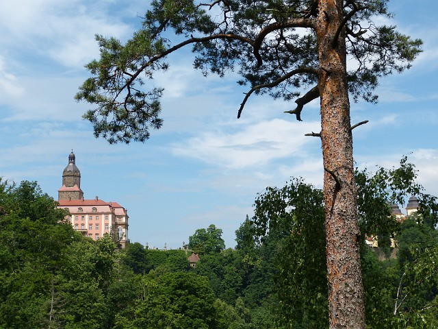 013.JPG - 013 W Książańskim Parku Krajobrazowym