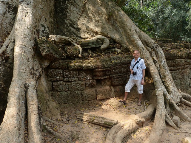 134.jpg - 134 Ta Phrom  - część Angkoru  będąca we władaniu dżungli.