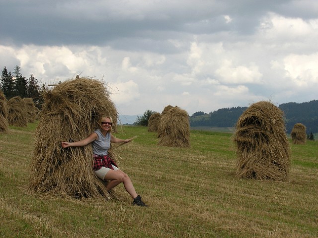 37 Tylko się wtulić w pachnące siano.JPG