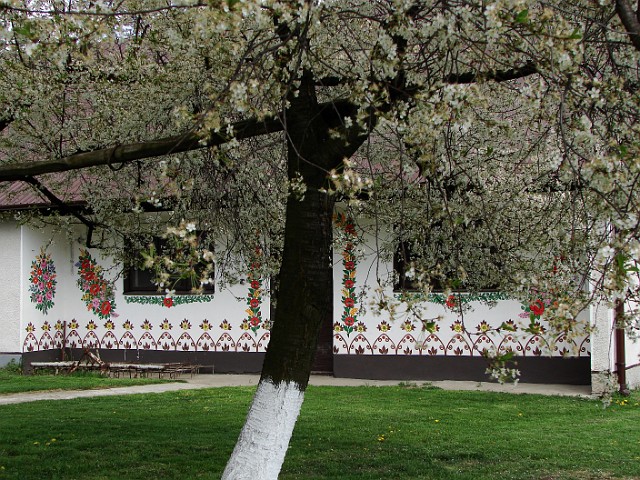 15 Malowany dom prześwitujący prze kwitnące drzewa.JPG