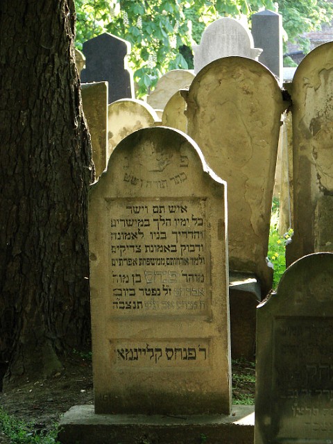 42 Cmentarz żydowski w Tarnowie.JPG