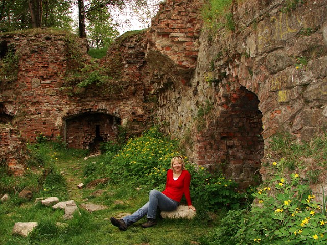 46 Ruiny zamku Tarnowskich.JPG