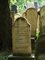 42 Cmentarz żydowski w Tarnowie