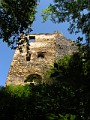 48 Ruina zamku Gryf