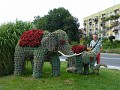 195 Przeworskie słonie