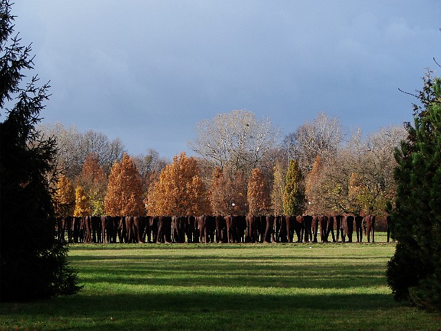 33 Rzeźba Magdaleny Abakanowicz Nierozpoznani.jpg