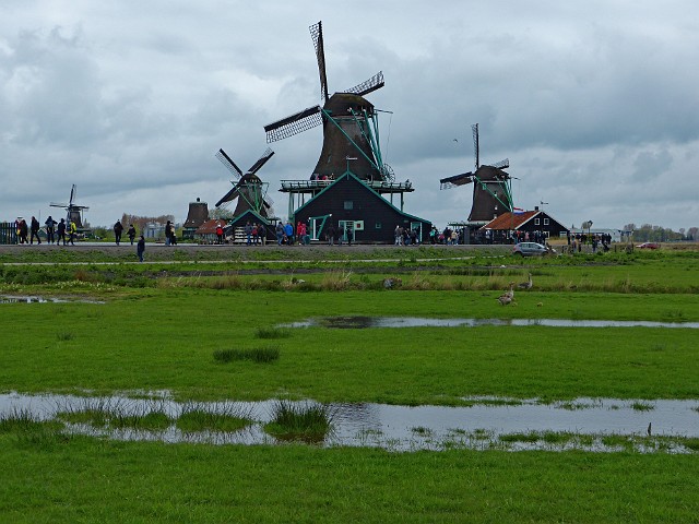 113 Skansen wiatraków w Zaanse Schans.jpg