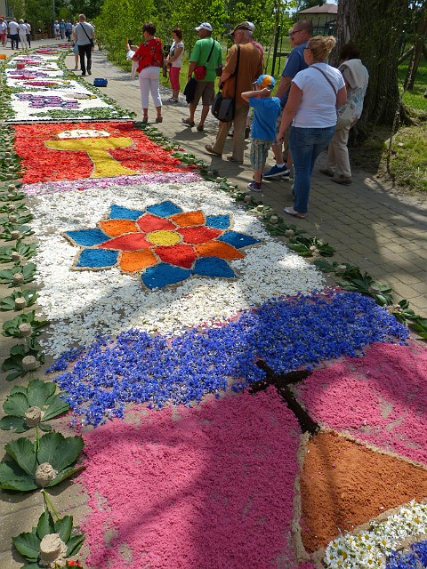 14.jpg - 14 Wśród układanych motywów na dywanach z kwiatów dominują symbole i obrazy religijne, rozety i inne kompozycje kwiatowe. 